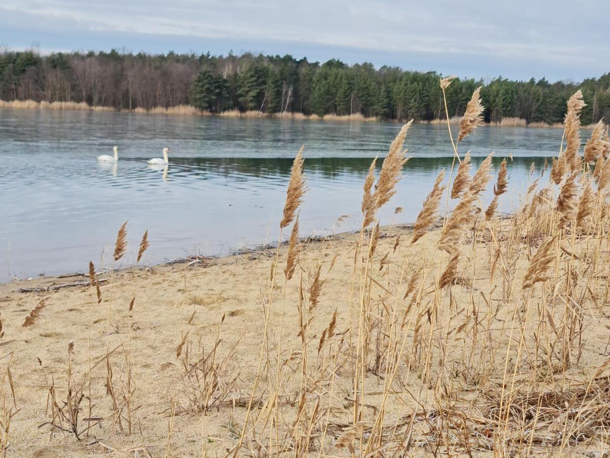 فيلا Ferienhaus Frieda Kiebitzsee Falkenburg المظهر الخارجي الصورة