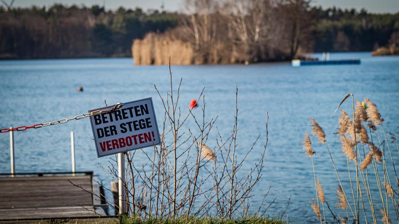 فيلا Ferienhaus Frieda Kiebitzsee Falkenburg المظهر الخارجي الصورة