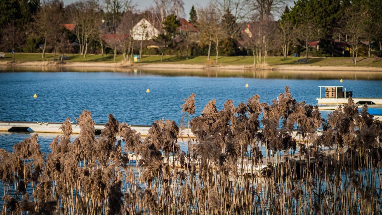 فيلا Ferienhaus Frieda Kiebitzsee Falkenburg المظهر الخارجي الصورة