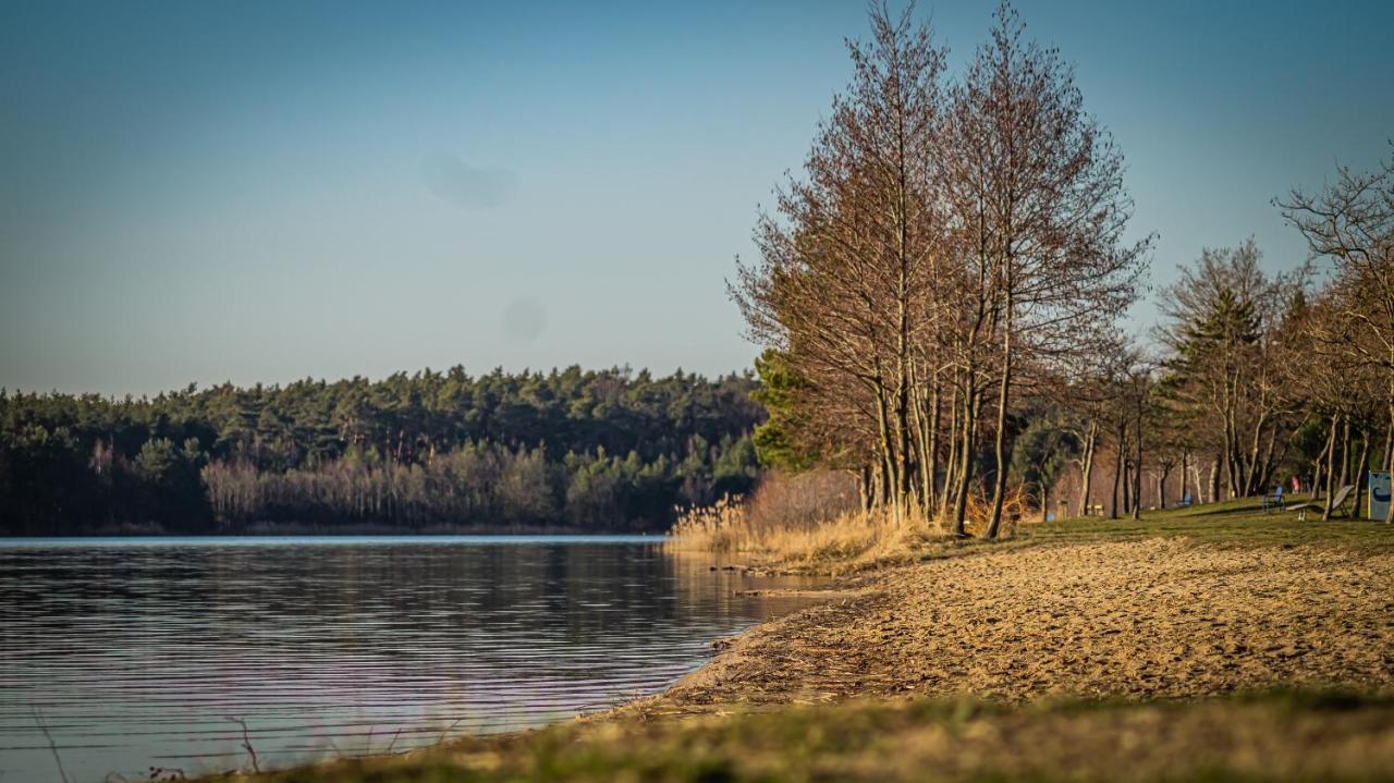 فيلا Ferienhaus Frieda Kiebitzsee Falkenburg المظهر الخارجي الصورة