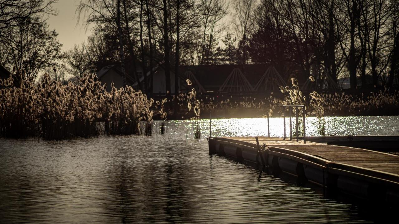 فيلا Ferienhaus Frieda Kiebitzsee Falkenburg المظهر الخارجي الصورة